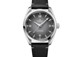 Omega Seamaster Railmaster 235.12.38.20.06.001 -